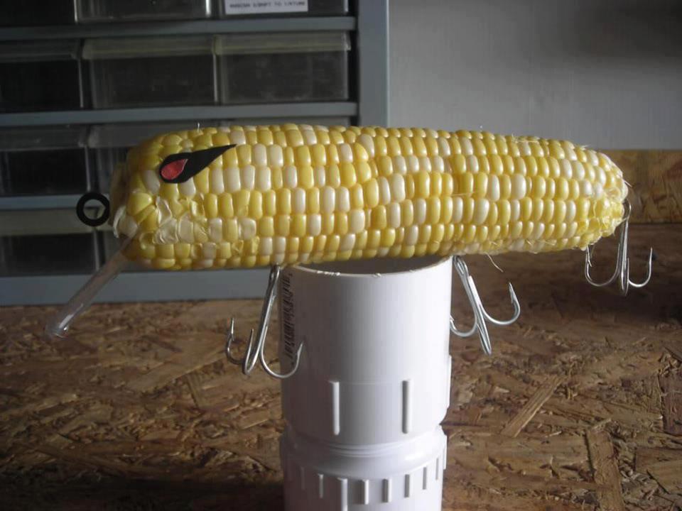 Atentie,imagini socante +18 - 9347154579277876239301644706147n.jpg